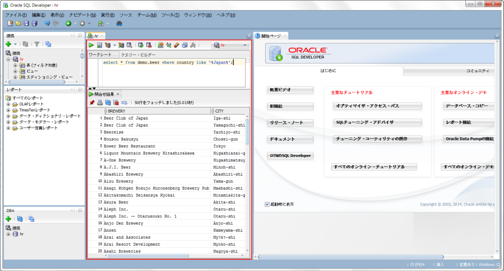 Oracle SQL Developer with a Japanese user interface