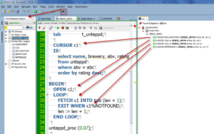sql developer plscope search
