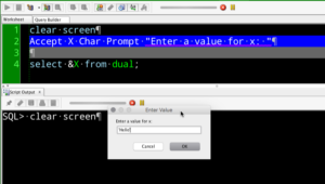 sql developer accept command