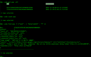 oracle document store json soda sqlcl