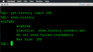 oracle sqlcl history settings