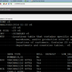 info command oracle sql developer