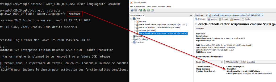 Changing the User Interface Language in Oracle SQLcl