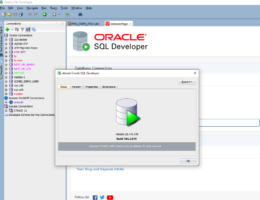 SQL Developer & Data Modeler version 21.4.1 are now available