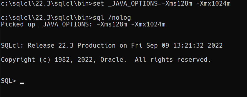 Configuring Java for ORDS and SQLcl with env var _JAVA_OPTIONS