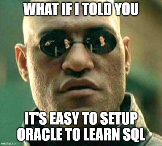 I’m new to Oracle, and I need a database…help!