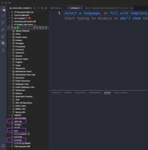 Copying VS Code Developer Tools connections to SQL Developer