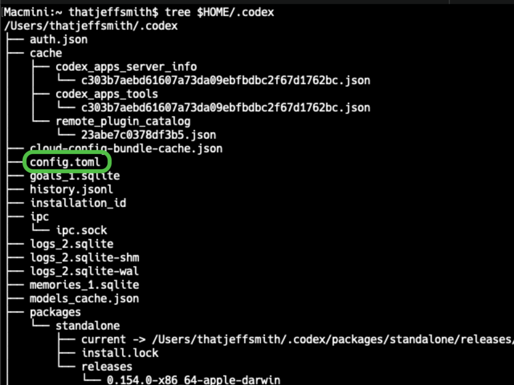 directory tree showing where Codex puts its config.toml file.
